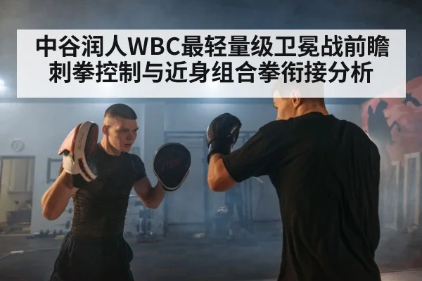 中谷润人WBC最轻量级卫冕战前瞻 刺拳控制与近身组合拳衔接分析 | jiuyou